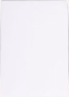 Prześcieradło z gumką Formesse Bella Donna białe 90x190 cm