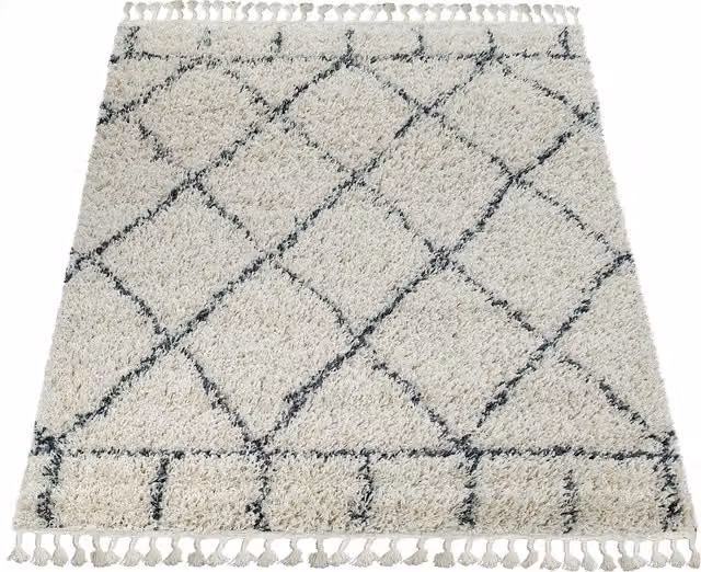 Dywan Nadori z wysokim włosiem w kolorze beżowym z frędzlami, prostokątny, Szerokość: 60 cm, Długość: 100 cm