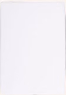 Prześcieradło z gumką Formesse Bella Donna, białe, 180 x 200 cm